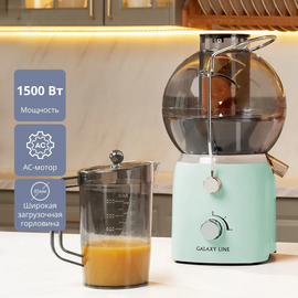  Соковыжималка Galaxy GL 0811 свежая мята 